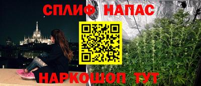 гидра Аргун
