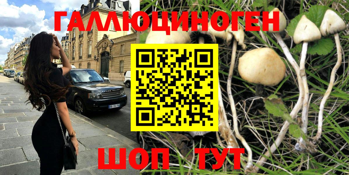 Богородск  Псилоцибиновые грибы мухоморы  Вход с VPN  Галлюциногенные грибы мицелий 